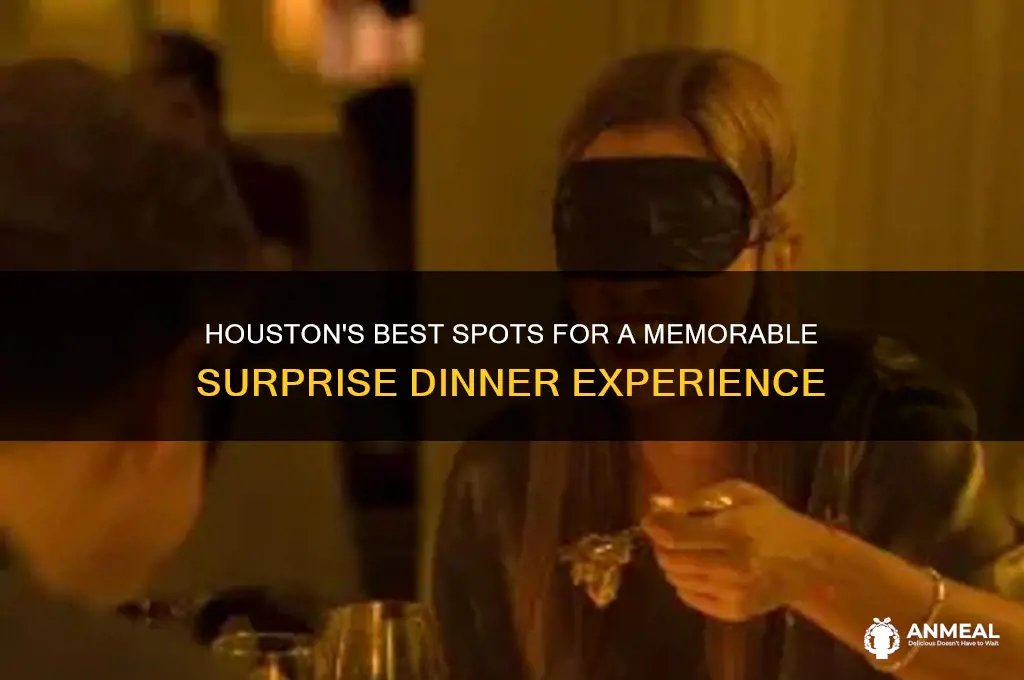 where to do suprise dinner houston