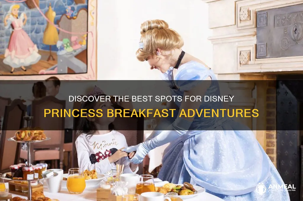 where to enter for disney princess breakfast