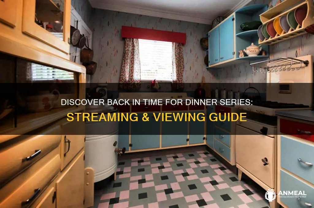 where to find back in time for dinner series