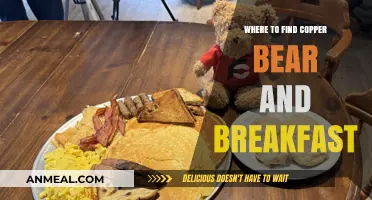 Discover Copper Bear and Breakfast: Top Locations for a Cozy Stay