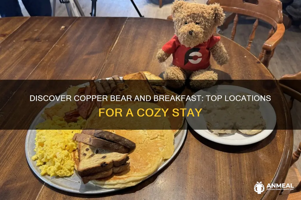 where to find copper bear and breakfast