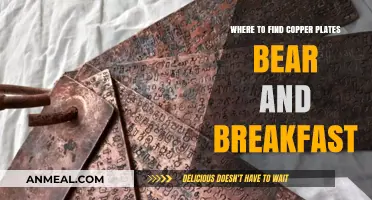 Discover Copper Plates in Bear and Breakfast: Top Locations Guide