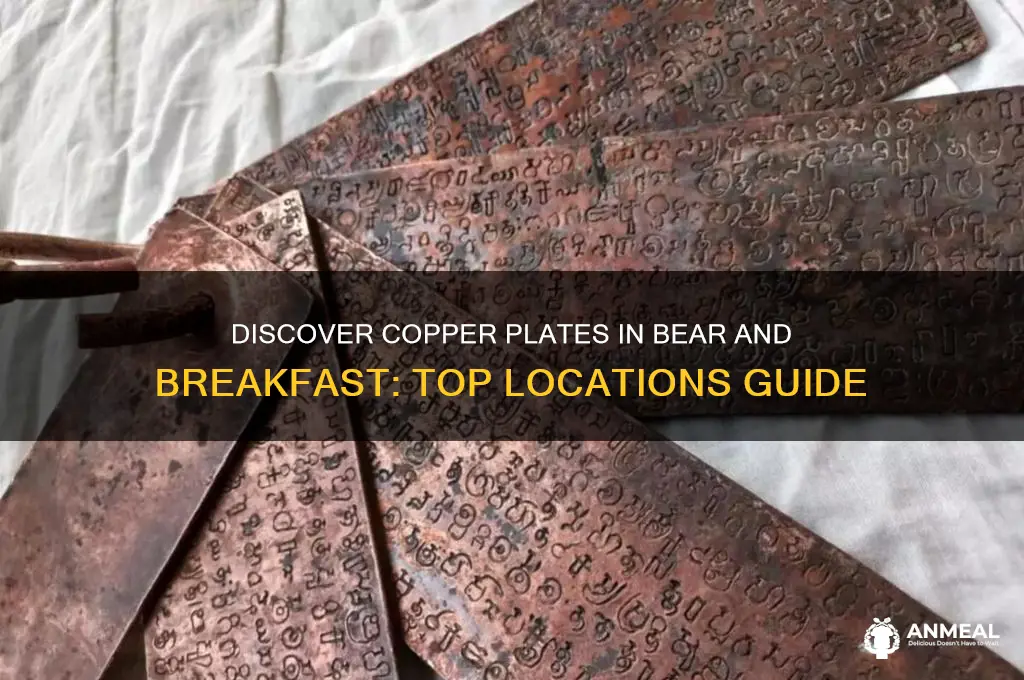 where to find copper plates bear and breakfast