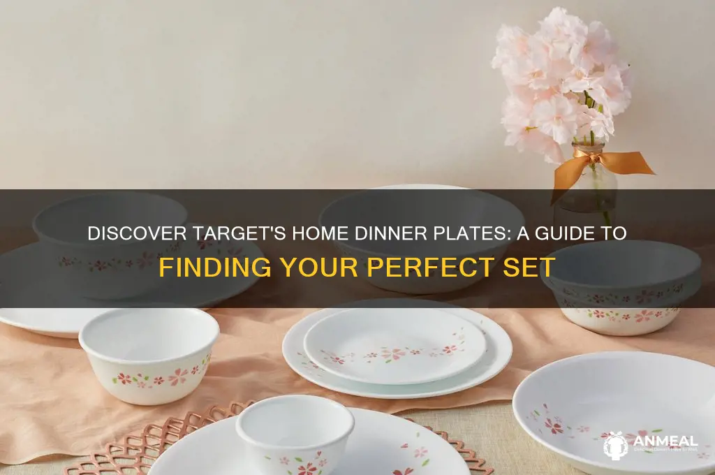 where to find dinner plates sold at target named home