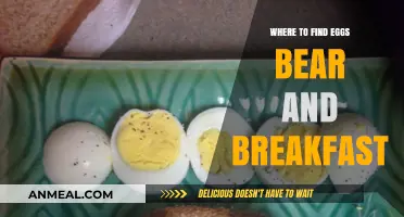 Discover Eggs, Bears, and Breakfast: Top Spots for a Unique Adventure