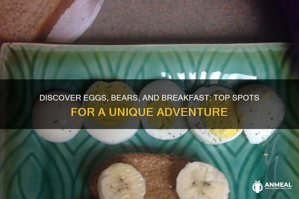 where to find eggs bear and breakfast