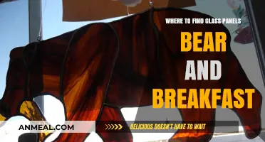 Discover Glass Panels at Bear and Breakfast: Top Locations Guide