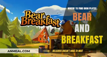 Discover Iron Plates in Bear and Breakfast: Top Locations Guide