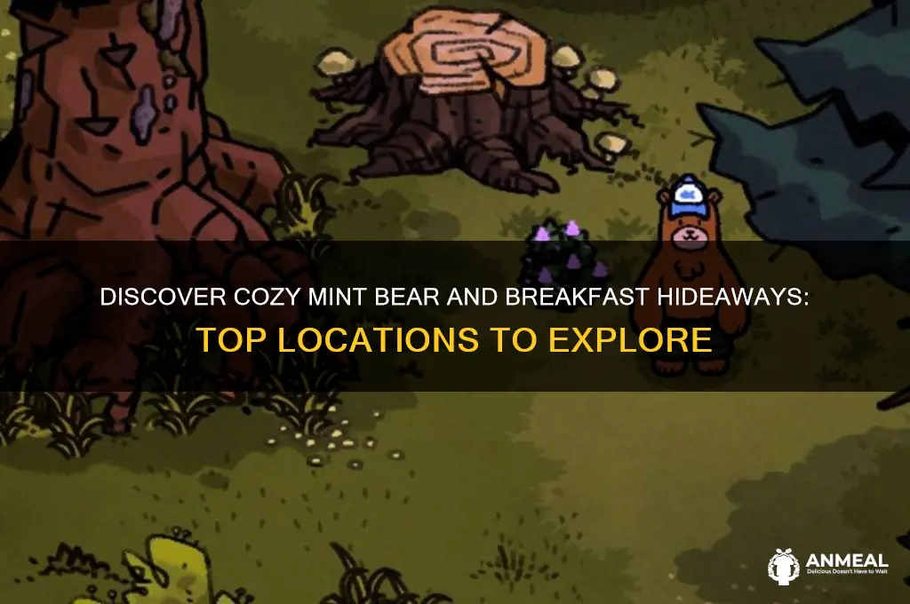 where to find mint bear and breakfast