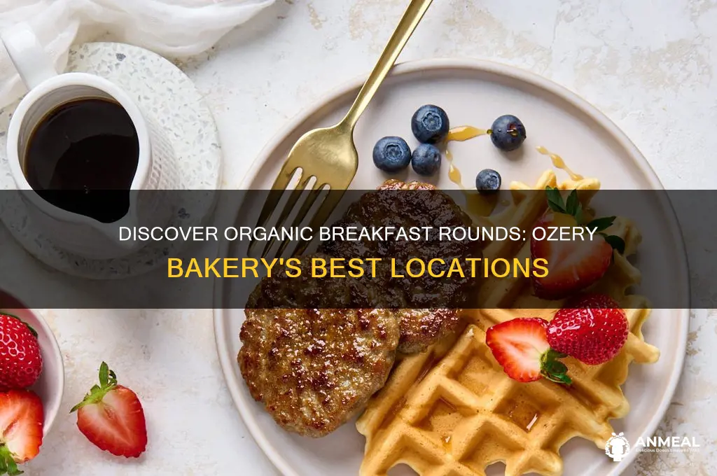 where to find organic breakfast rounds ozery bakery