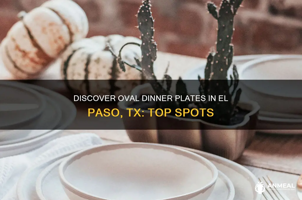 where to find oval dinner plates in el paso tx