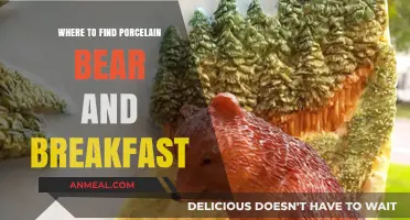 Discover Unique Stays: Where to Find Porcelain Bear and Breakfast