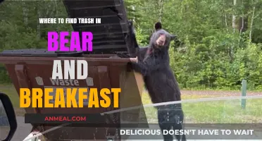 Discover Hidden Trash Locations in Bear and Breakfast for Maximum Efficiency