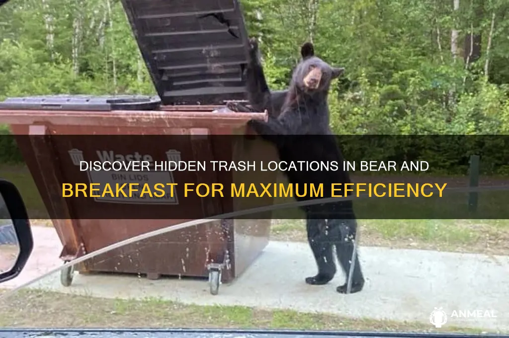 where to find trash in bear and breakfast
