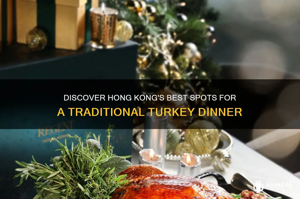 where to find turkey dinner in hong kong