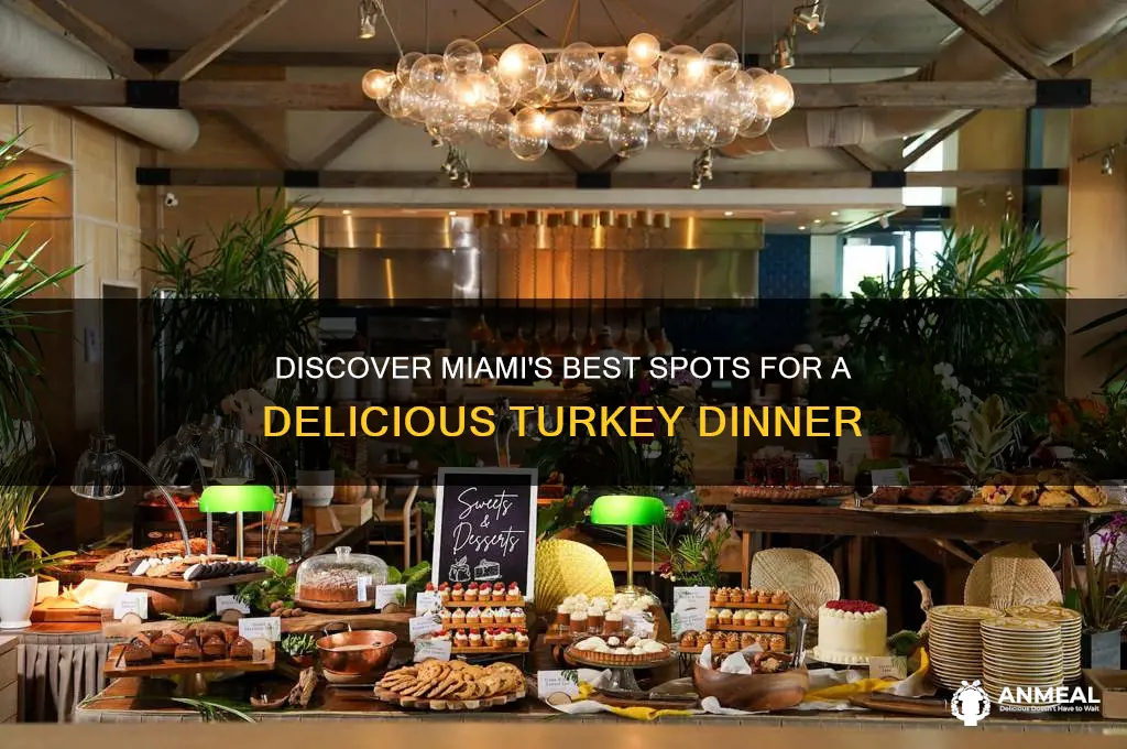 where to find turkey dinner in miami