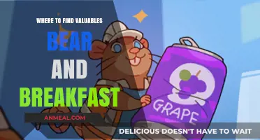 Discover Hidden Treasures: Top Spots for Valuables in Bear and Breakfast