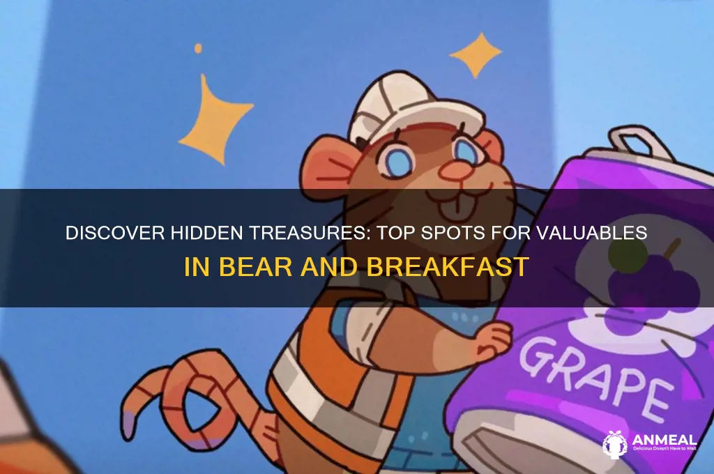 where to find valuables bear and breakfast
