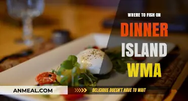 Discover the Best Fishing Spots on Dinner Island WMA