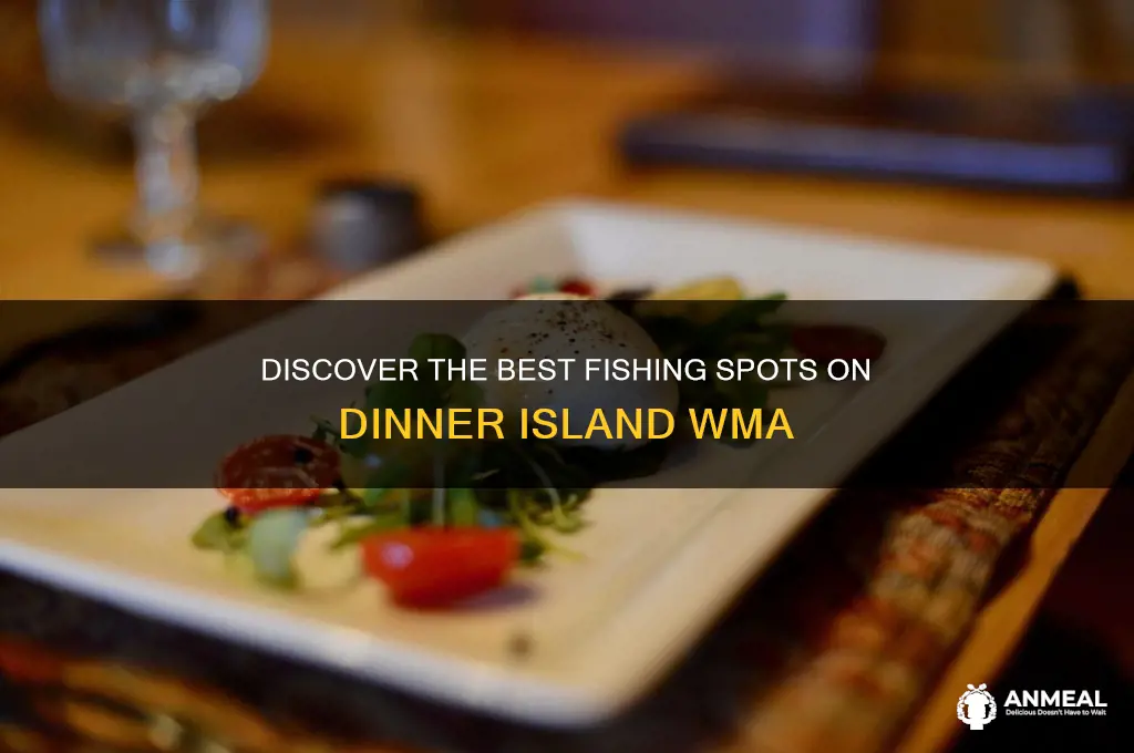 where to fish on dinner island wma