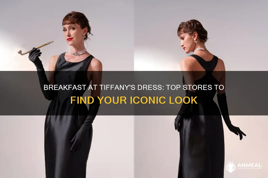 where to get a breakfast at tiffanys dfress