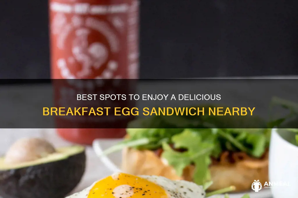 where to get a breakfast egg sandwich