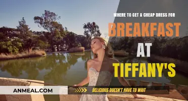 Affordable Breakfast at Tiffany's Dresses: Top Budget-Friendly Options