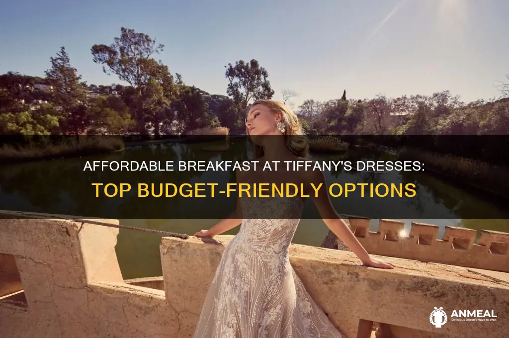 where to get a cheap dress for breakfast at tiffany