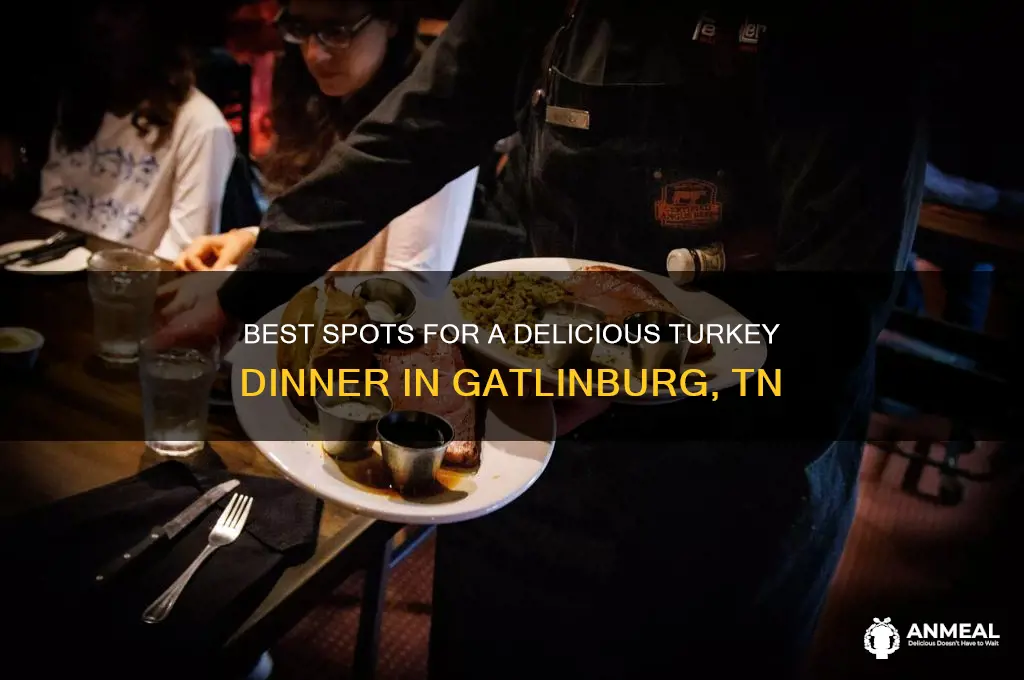 where to get a turkey dinner in gatlinburg tn