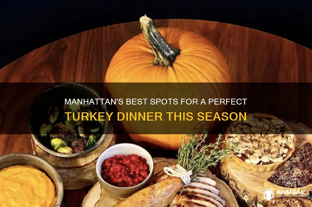 where to get a turkey dinner in manhattan