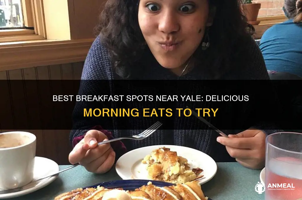 where to get breakfast around yale