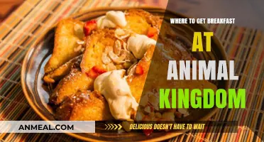 Best Breakfast Spots at Animal Kingdom: Fuel Your Disney Adventure