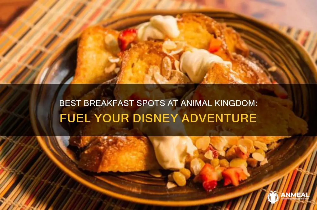 where to get breakfast at animal kingdom