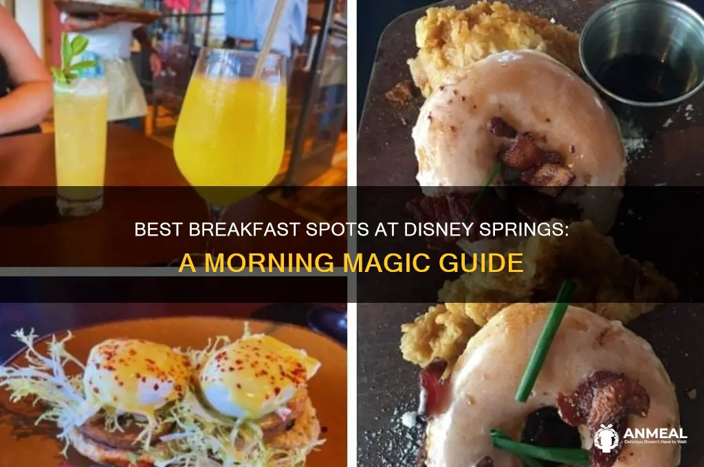 where to get breakfast at disney springs