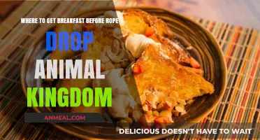 Early Bites: Best Breakfast Spots Before Animal Kingdom Rope Drop
