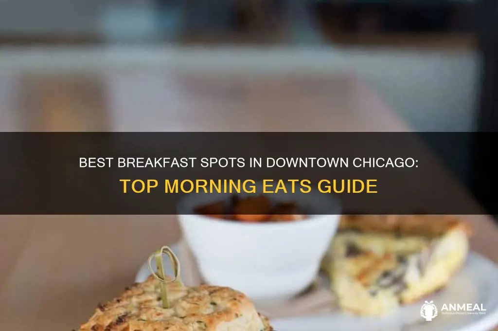 where to get breakfast downtown chicago