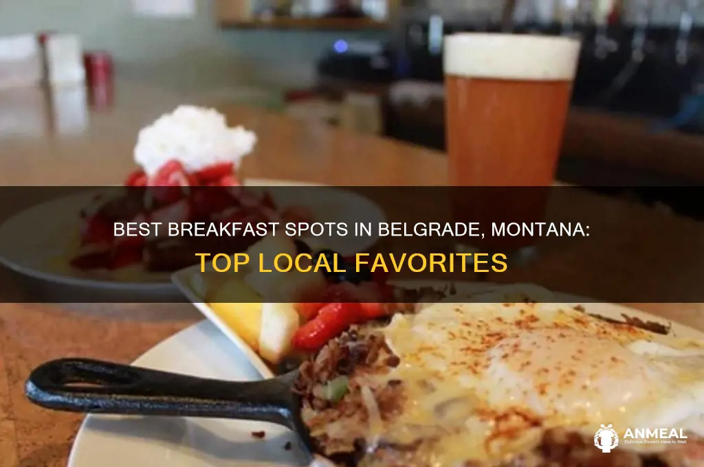 where to get breakfast in belgrade montana