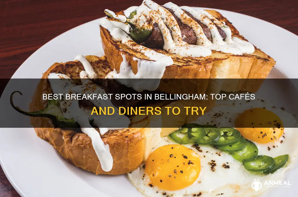 where to get breakfast in bellingham