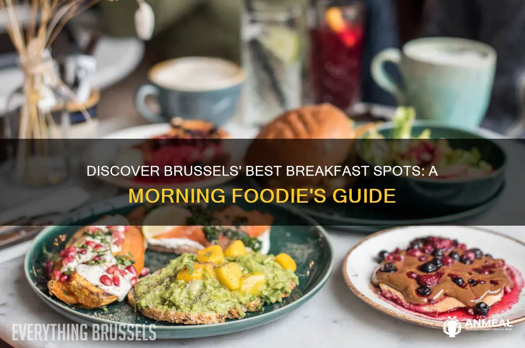 where to get breakfast in brussels