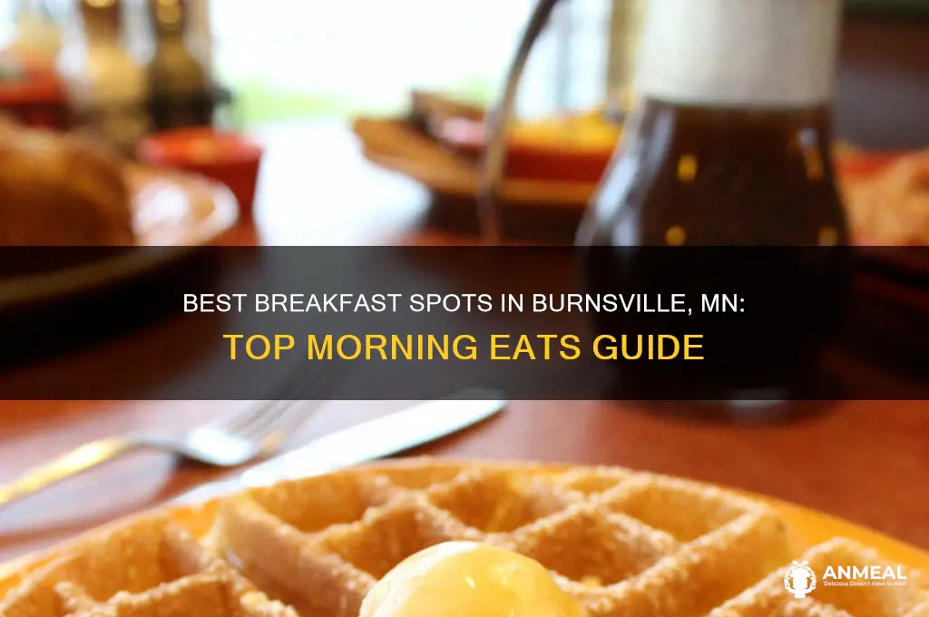 where to get breakfast in burnsville mn