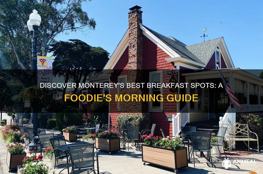 where to get breakfast in monterey
