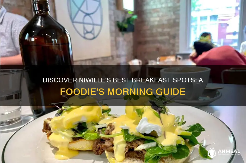 where to get breakfast in niwille