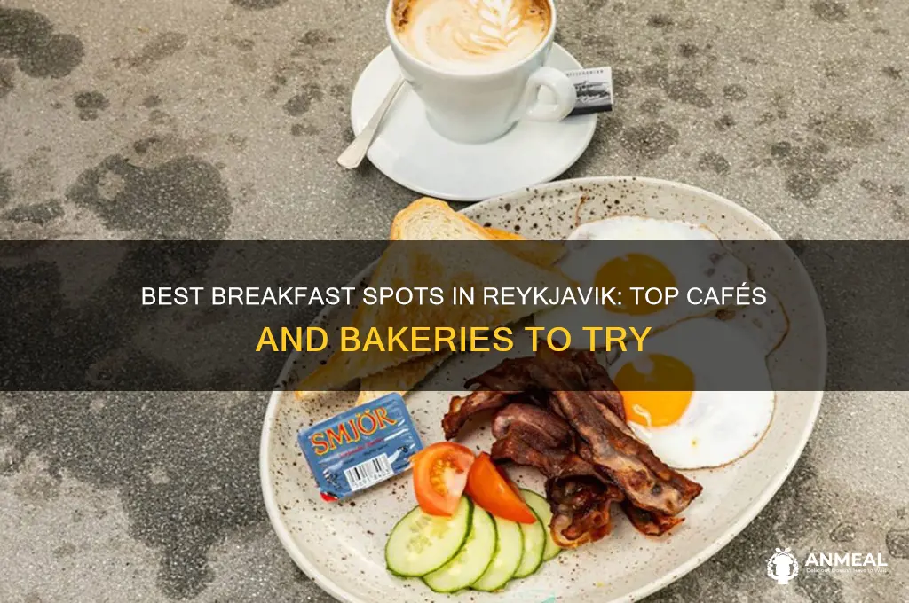 where to get breakfast in reykjavik