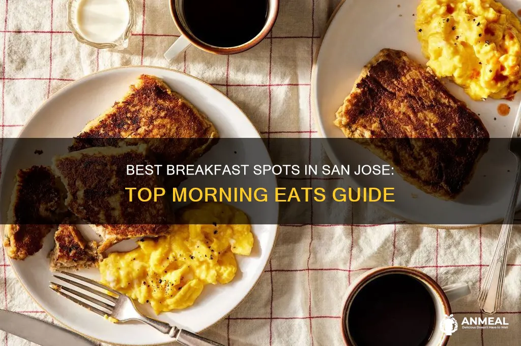 where to get breakfast in san jose