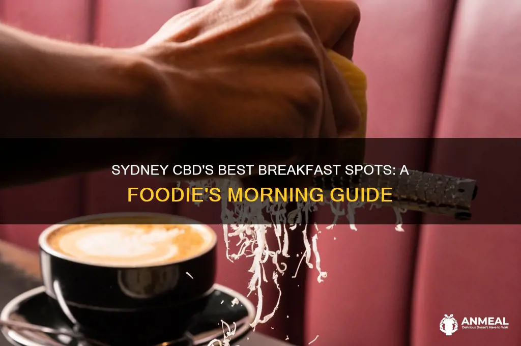 where to get breakfast in sydney cbd
