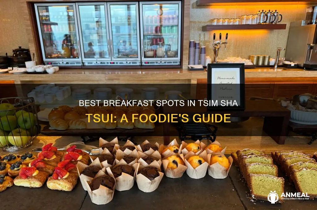 where to get breakfast in tsim sha tsui