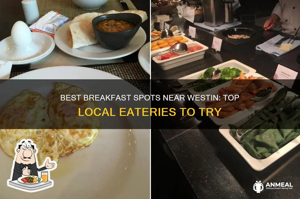 where to get breakfast near to westin