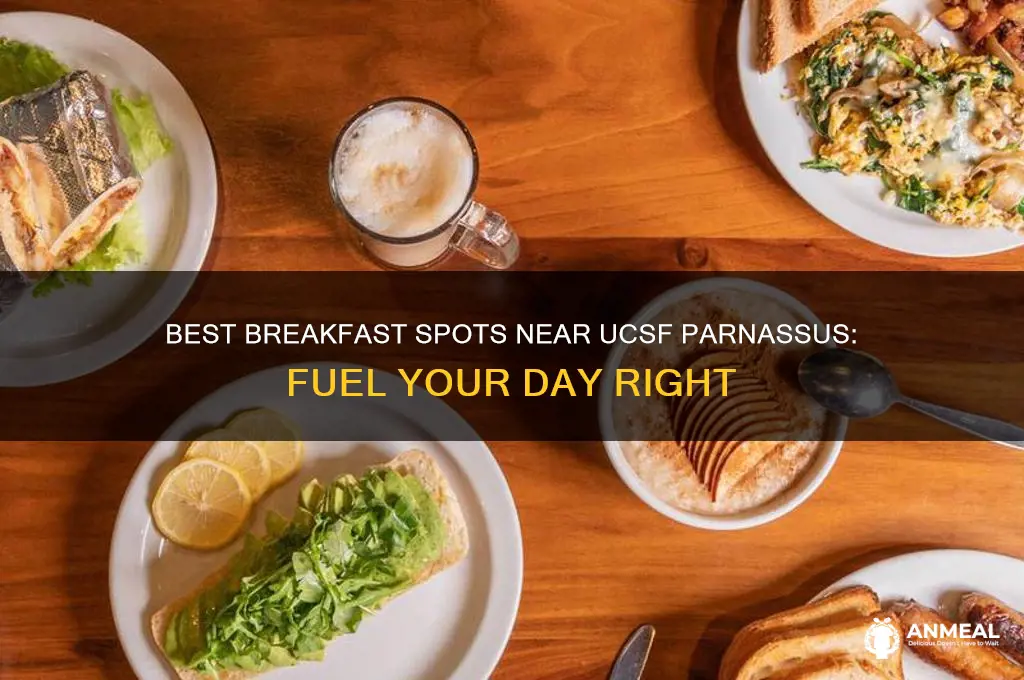 where to get breakfast near ucsf parnassus
