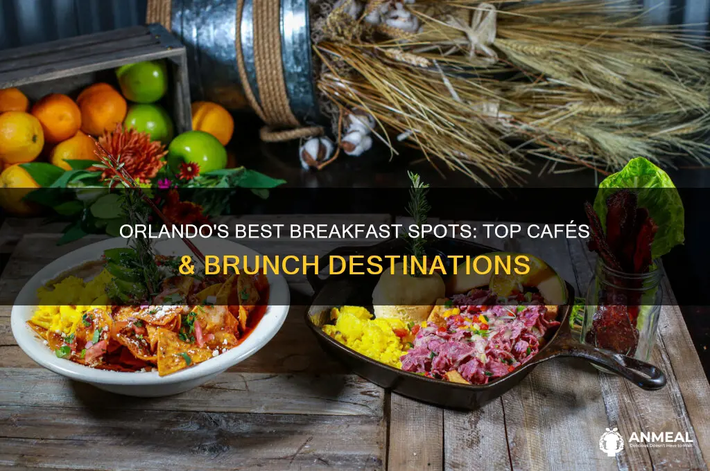 where to get breakfast orlando