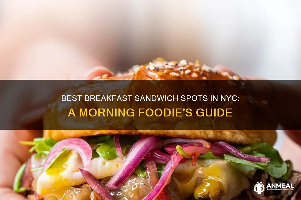 where to get breakfast sandwich nyc